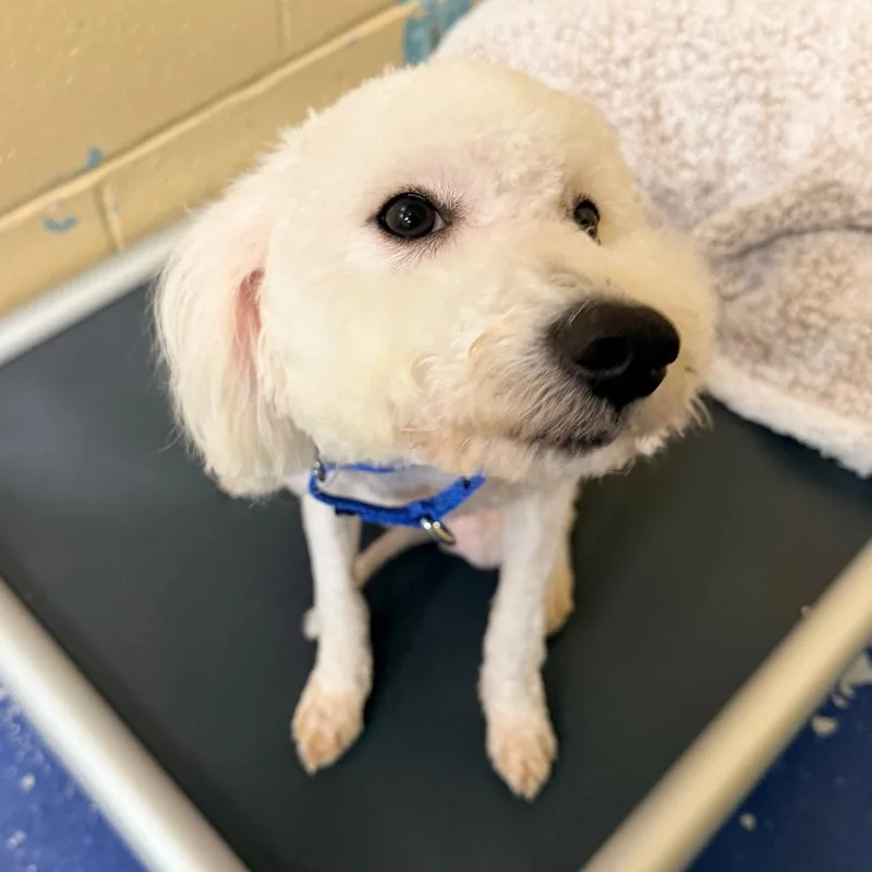 Fletcher thumbnail 5