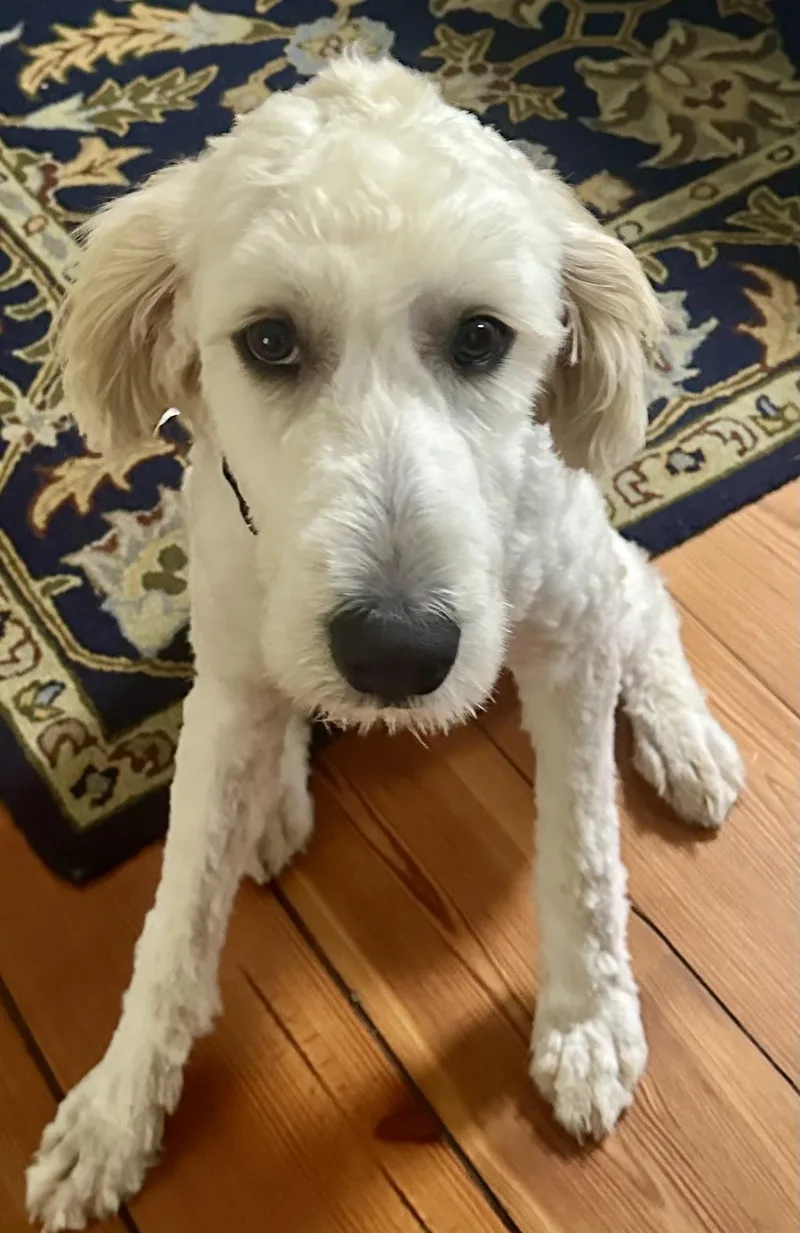 Moby thumbnail 3