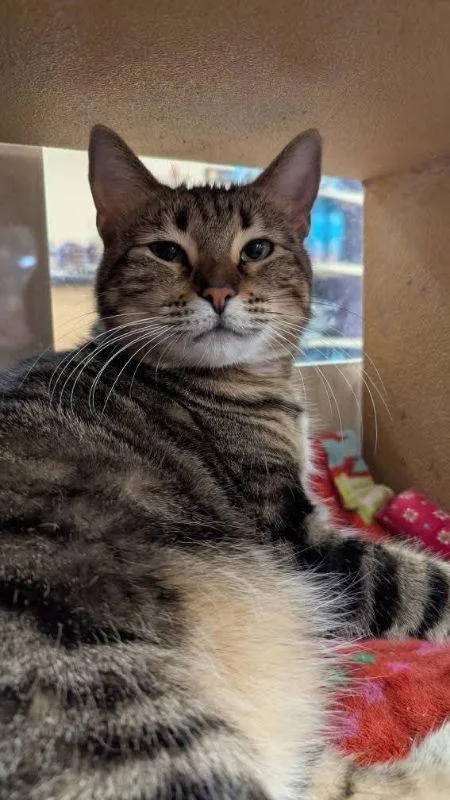 Bobbie Jo thumbnail 2