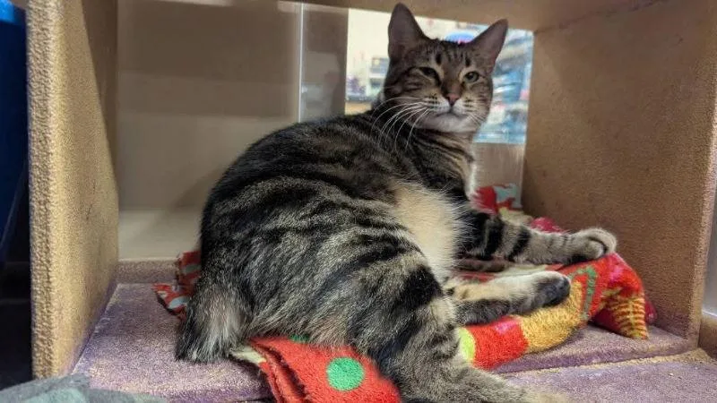 Bobbie Jo thumbnail 3