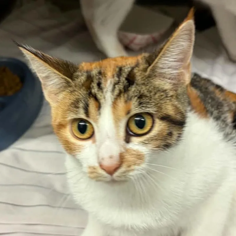 Winifred thumbnail 2