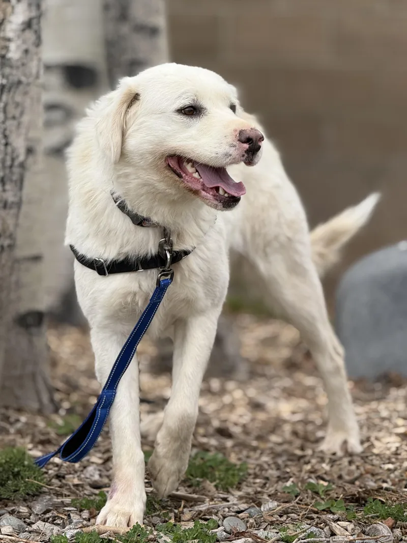 Momma Dirt thumbnail 4