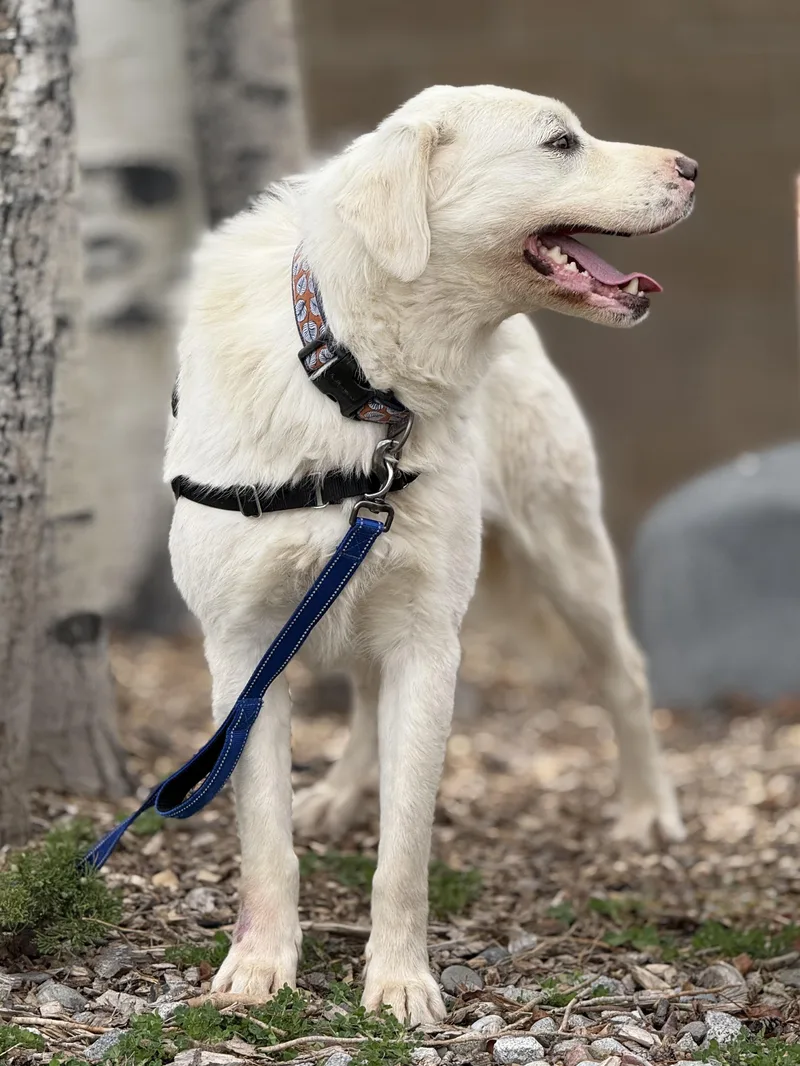 Momma Dirt thumbnail 5