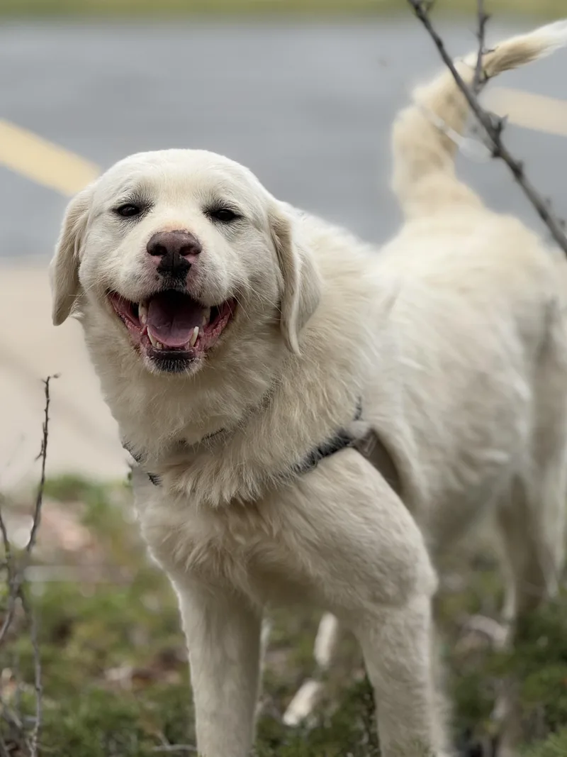 Momma Dirt thumbnail 6