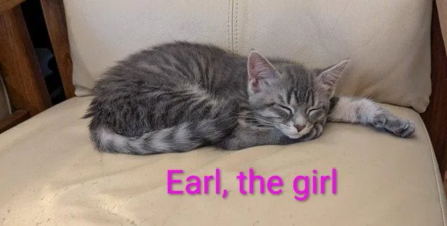 Earl the girl thumbnail 2
