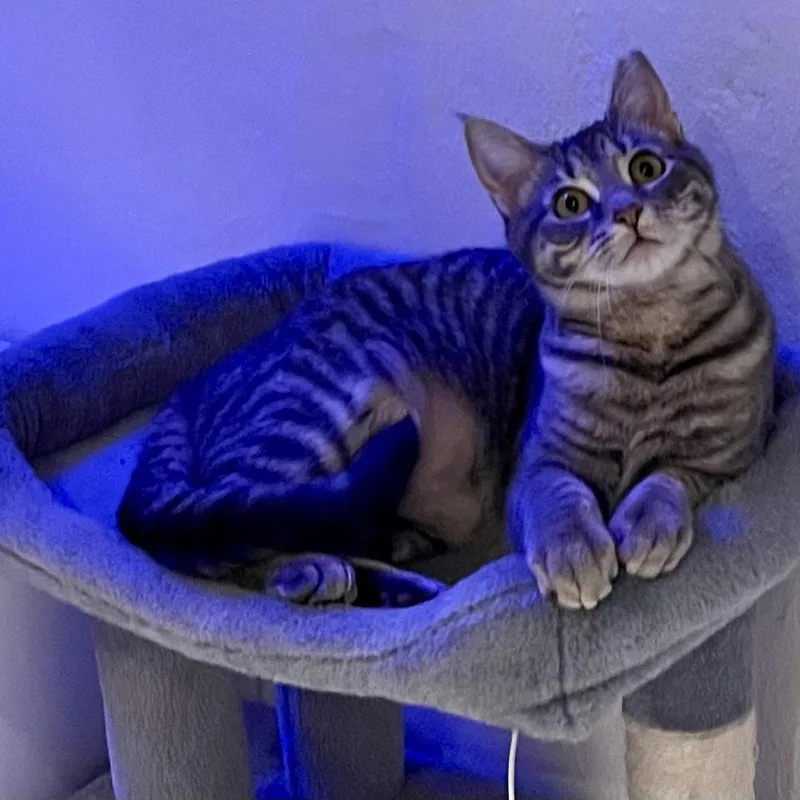 Fancy And Sasha thumbnail 3