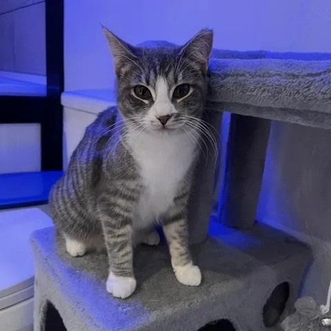 Fancy And Sasha thumbnail 5