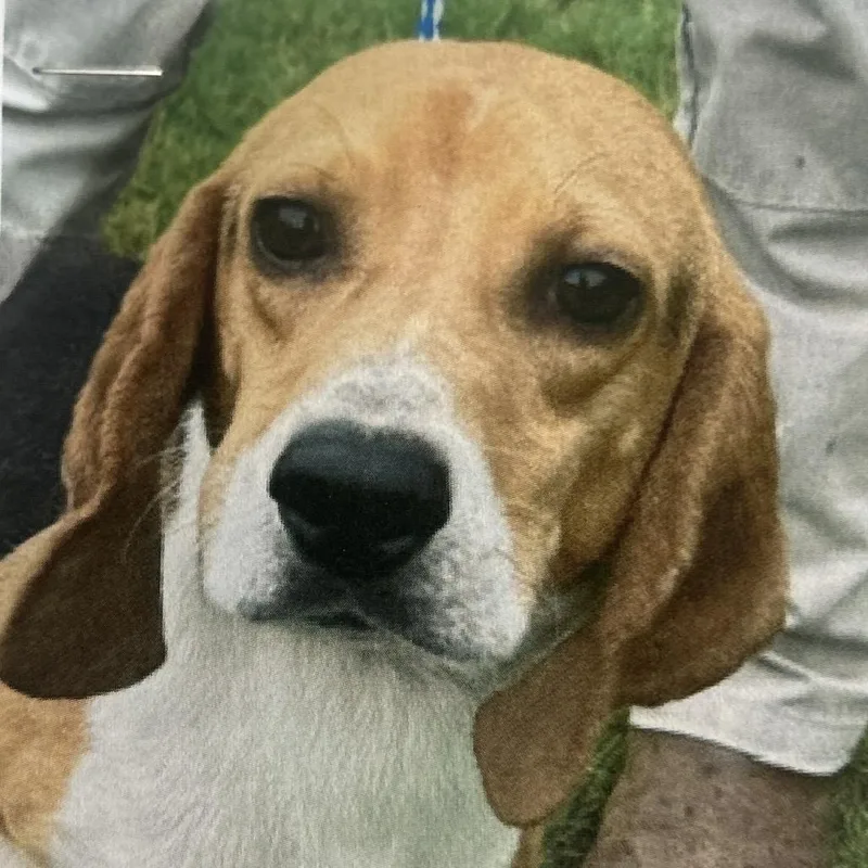 Dudley