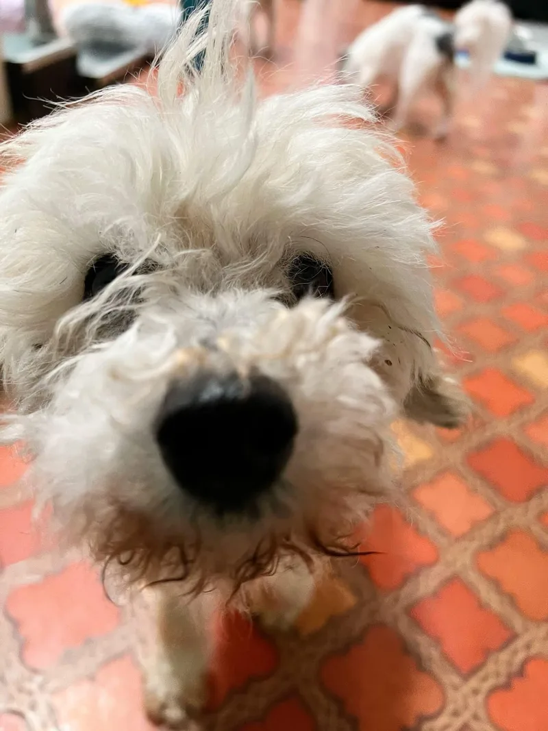 Fiona thumbnail 2