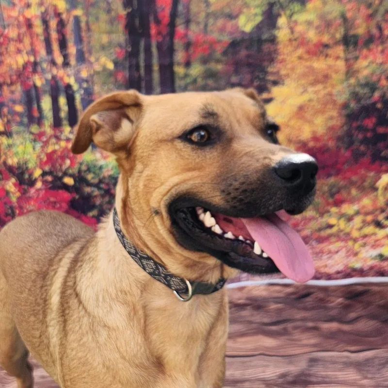 Brooke Ka thumbnail 2