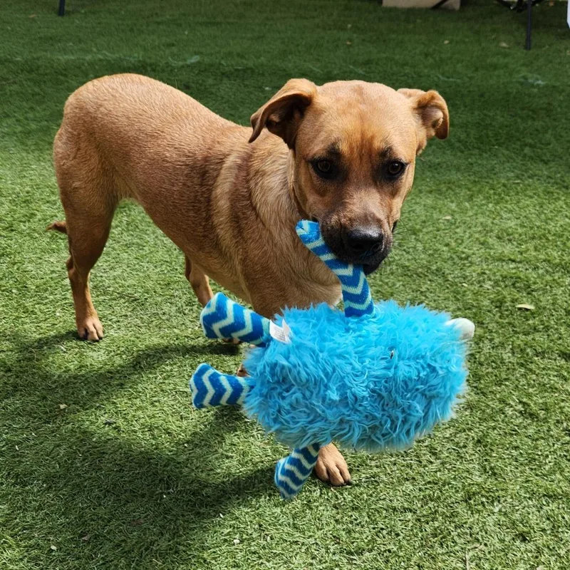 Brooke Ka thumbnail 3