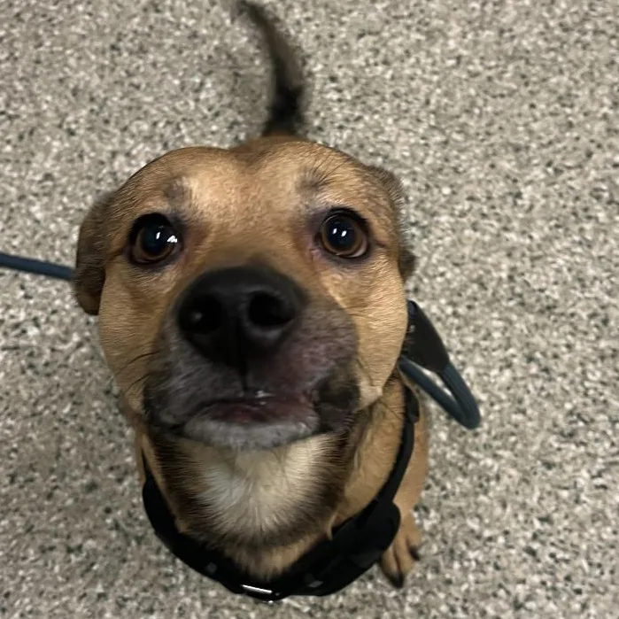 Max