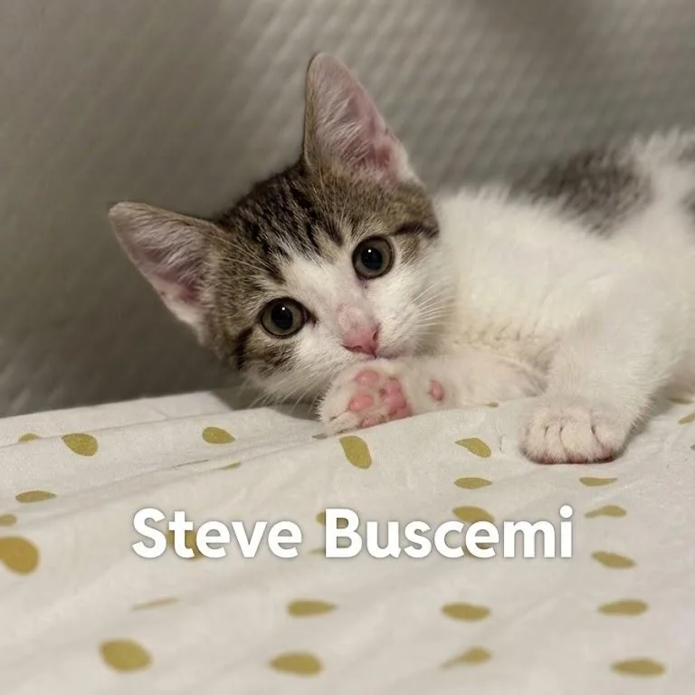 Steve Buscemi..Yes  Those thumbnail 4