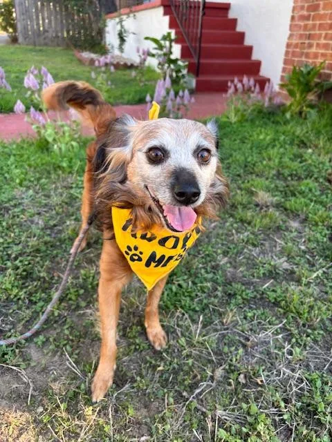 Teddy Swims thumbnail 2