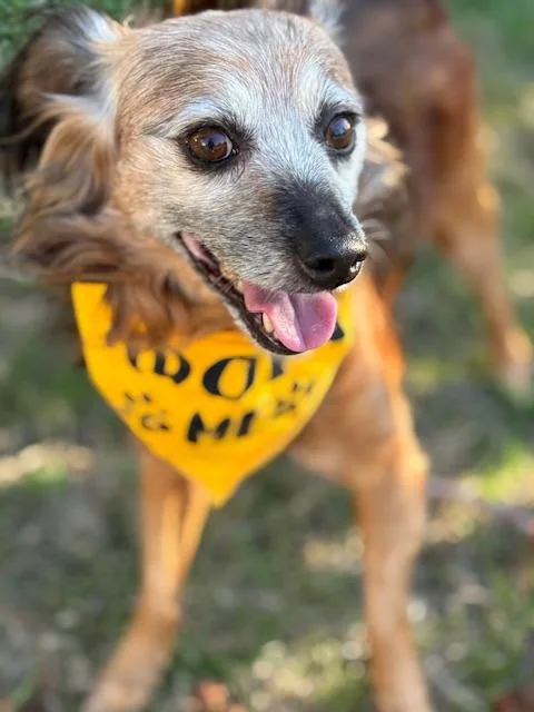 Teddy Swims thumbnail 3