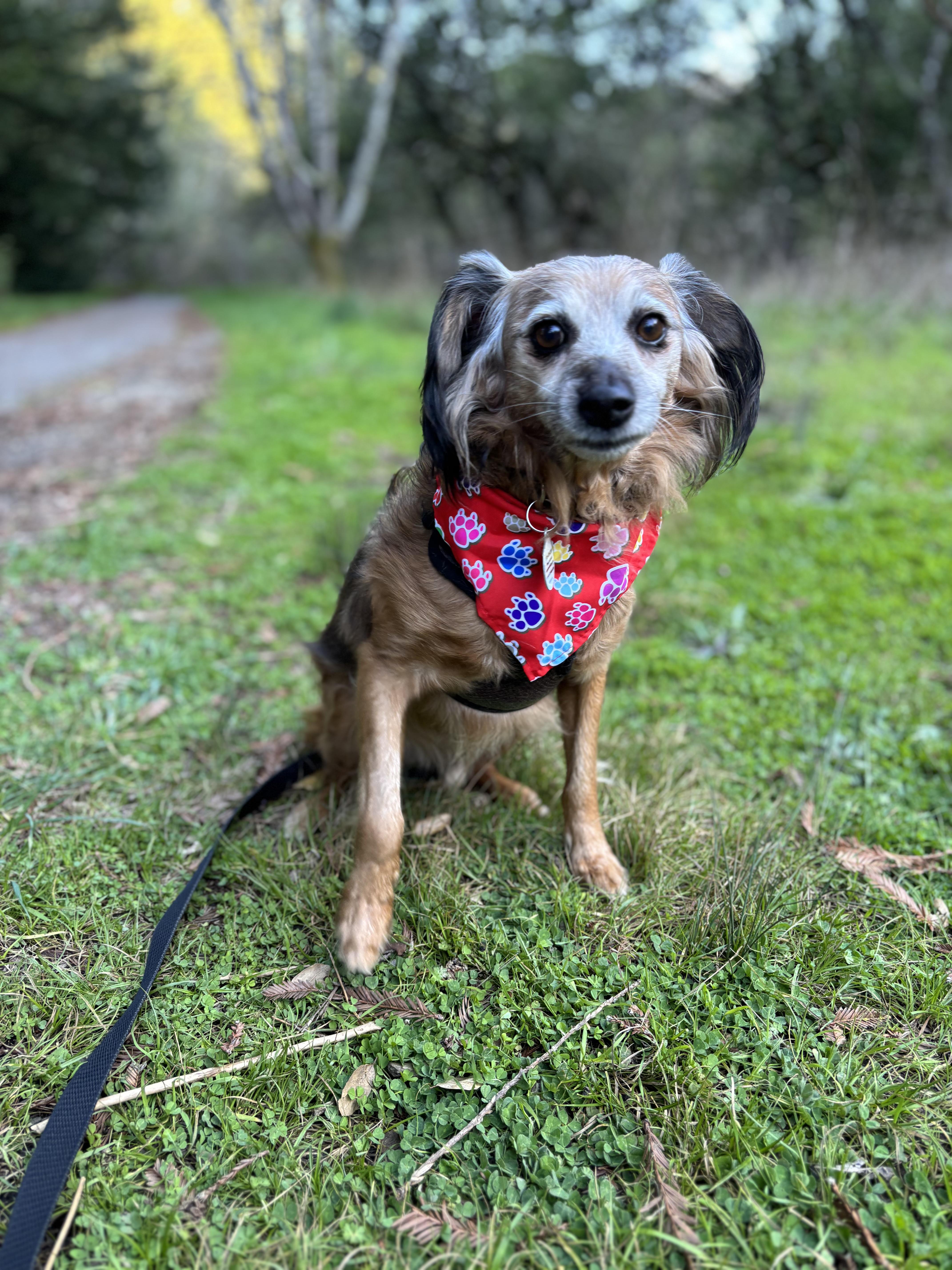 Teddy Swims thumbnail 4