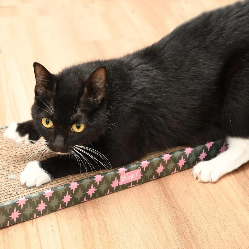Missy thumbnail 6