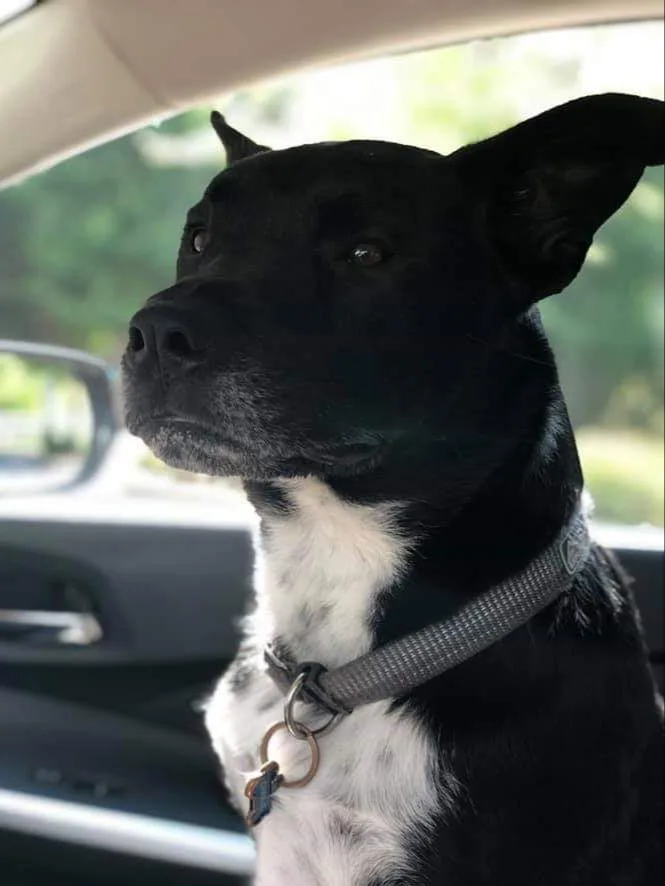 Kristoff  Cp thumbnail 2