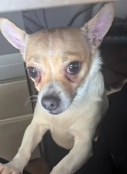 Coco thumbnail 2