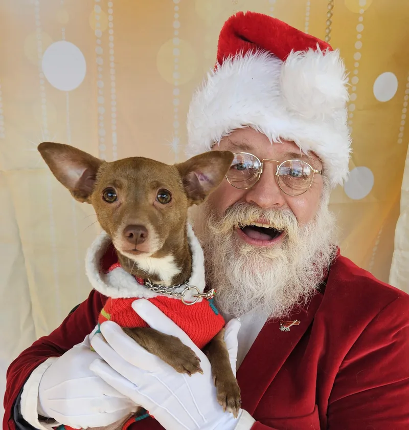 Ancksunamun thumbnail 6