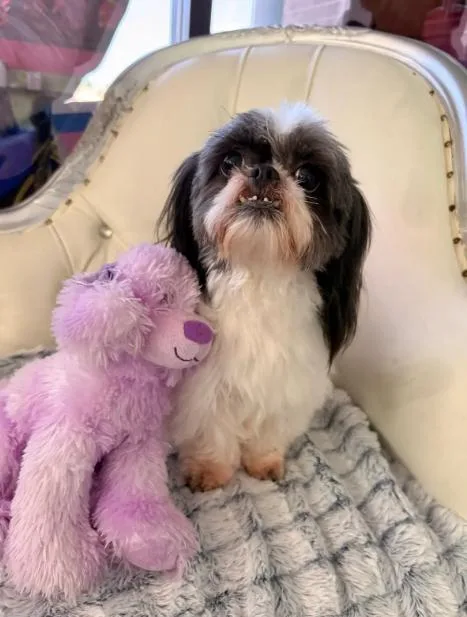 Mia in TX thumbnail 2