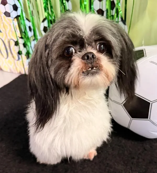 Mia in TX thumbnail 3