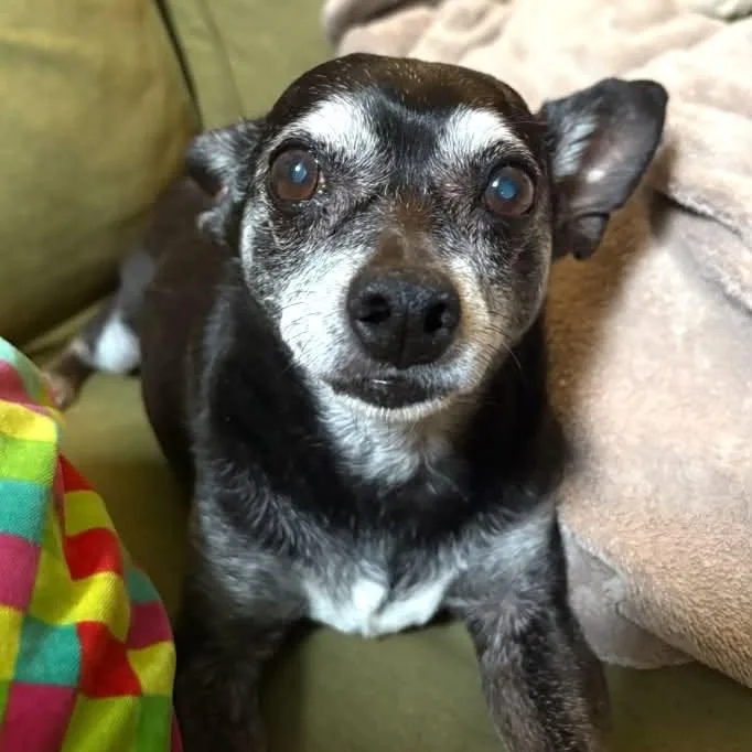 Edgar thumbnail 3