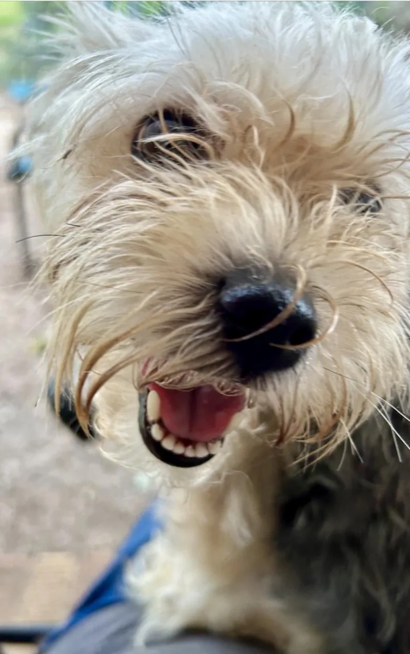 Nyla thumbnail 2