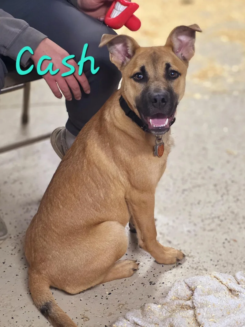 Cash thumbnail 2