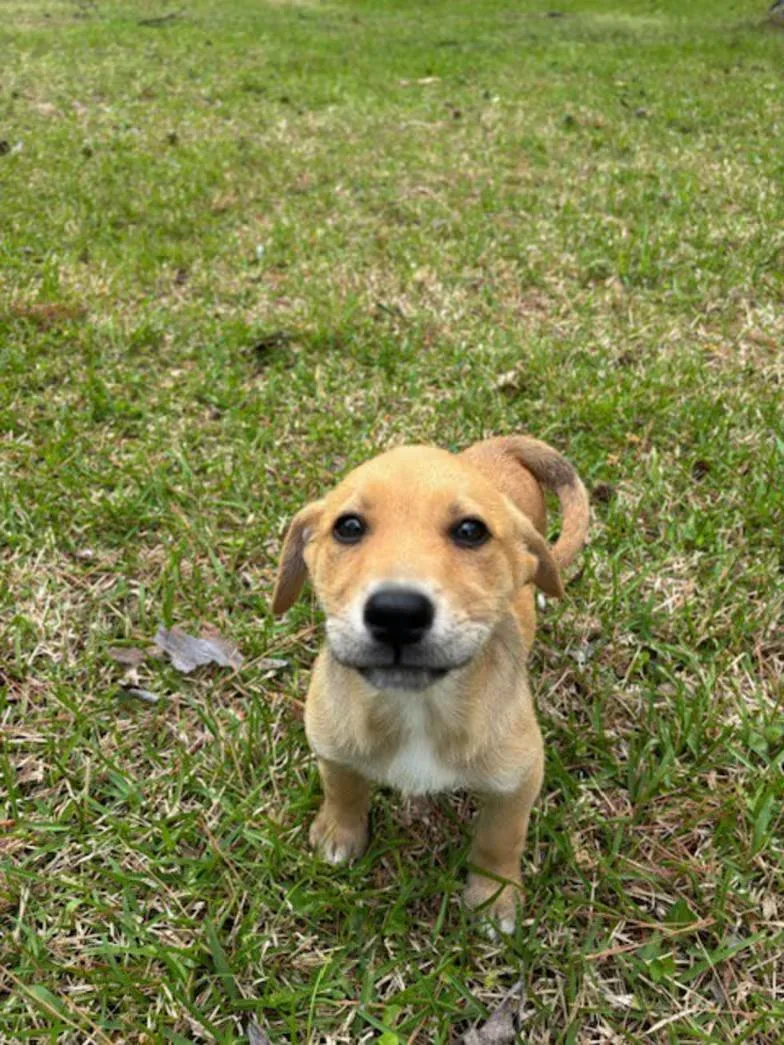 Colonel Mustard thumbnail 2