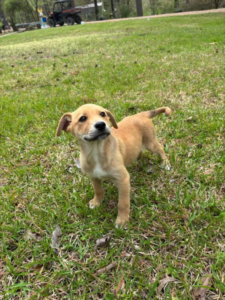 Colonel Mustard thumbnail 3