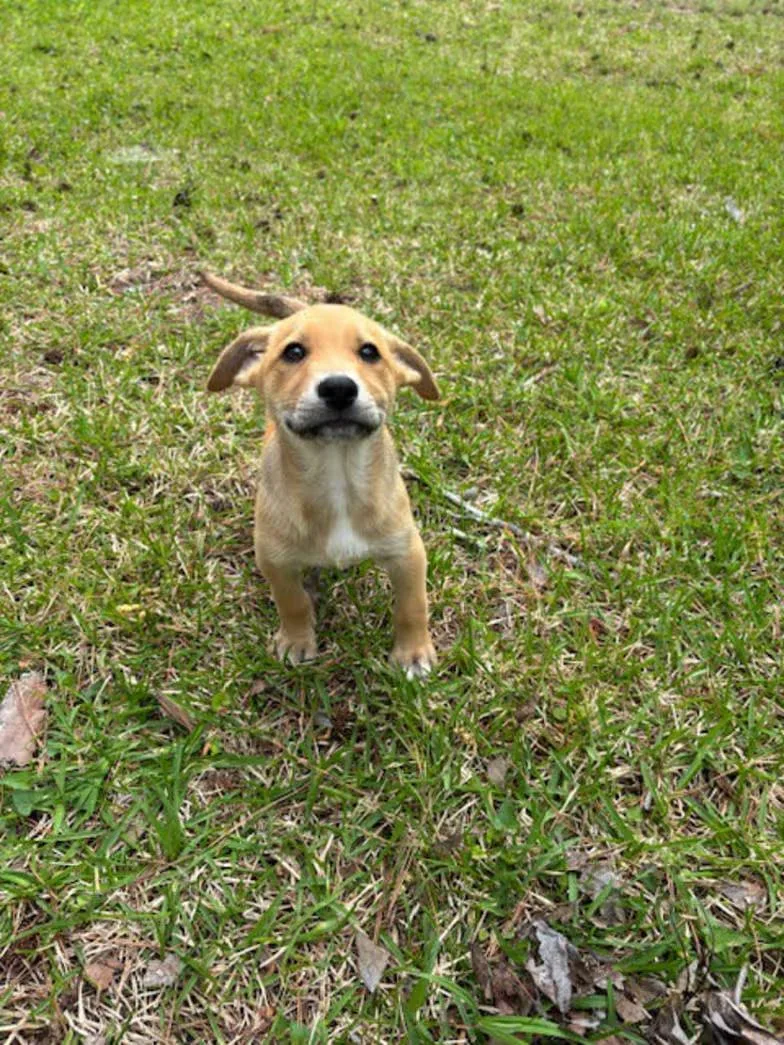 Colonel Mustard thumbnail 4