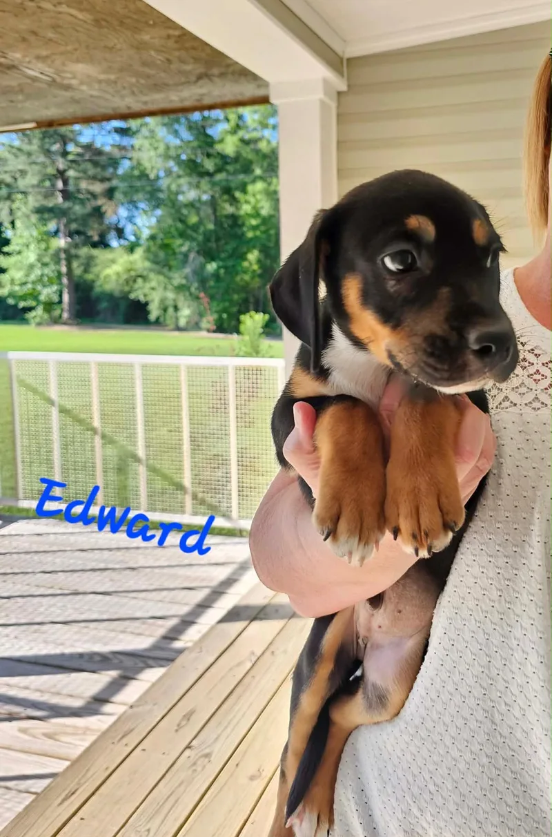Mae & Edward thumbnail 2