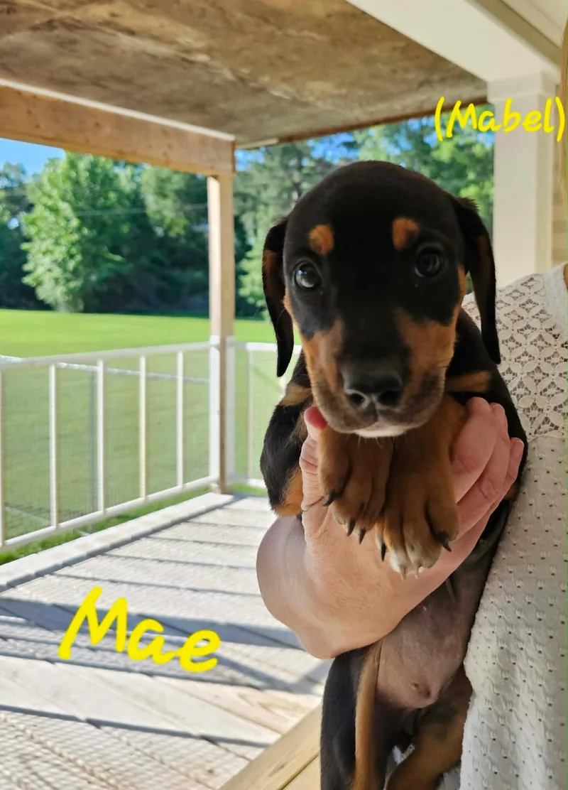 Mae & Edward thumbnail 3