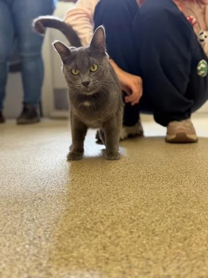 Tilly thumbnail 2