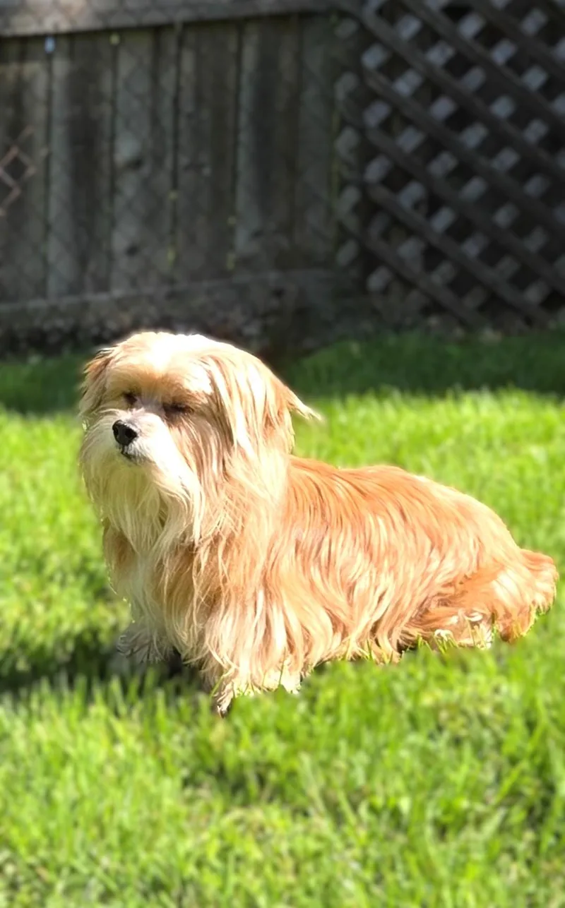 Sophie thumbnail 2