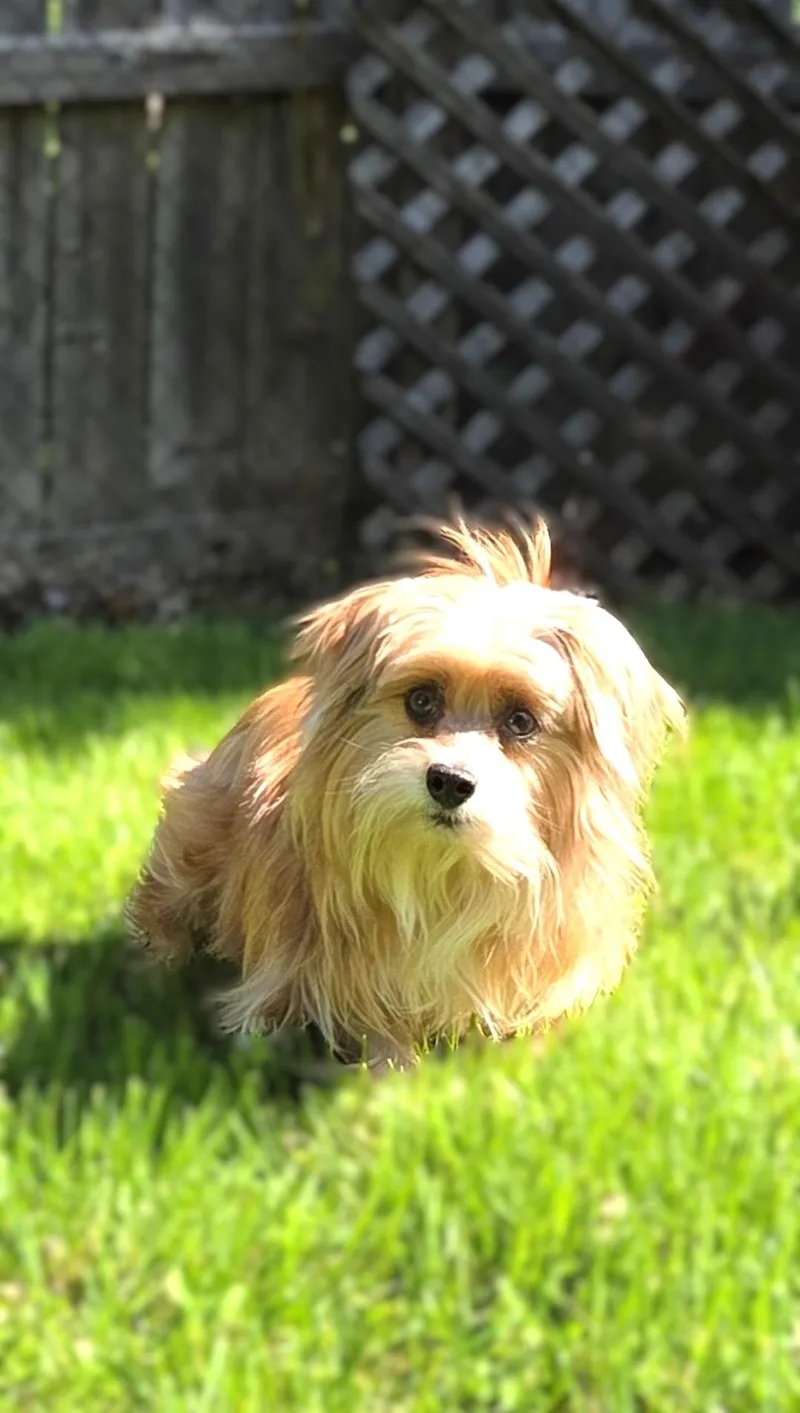 Sophie thumbnail 4