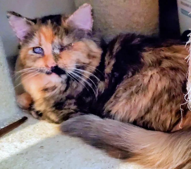 Eileen And Irene thumbnail 2