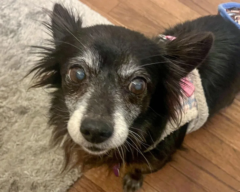 Rigatoni thumbnail 2