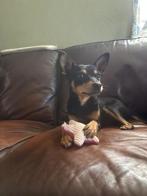 Chico