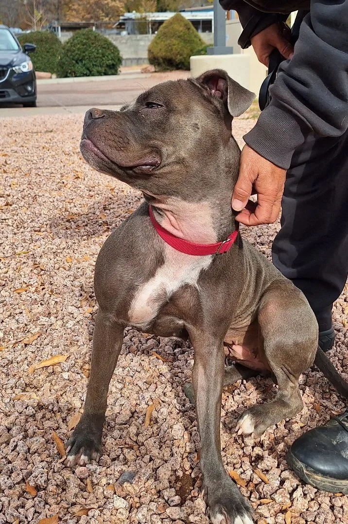 Truffles thumbnail 2