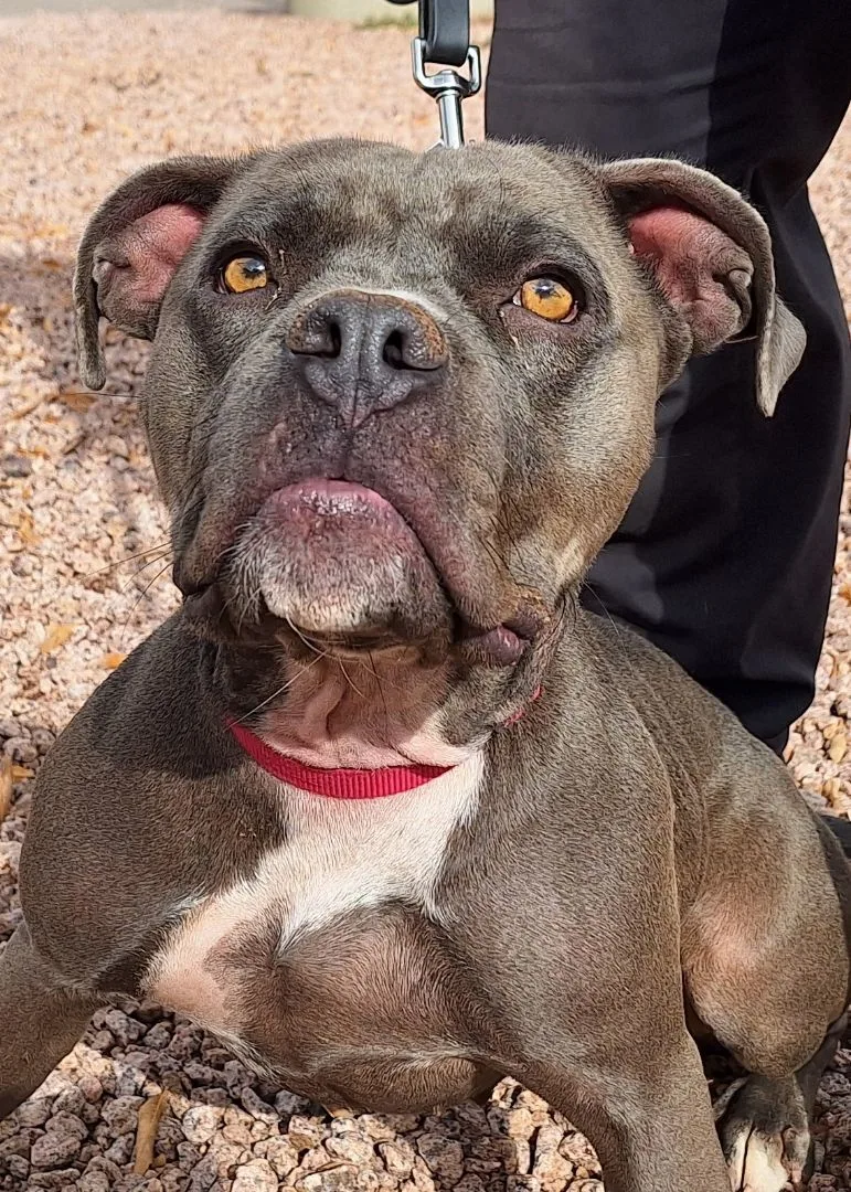 Truffles thumbnail 3