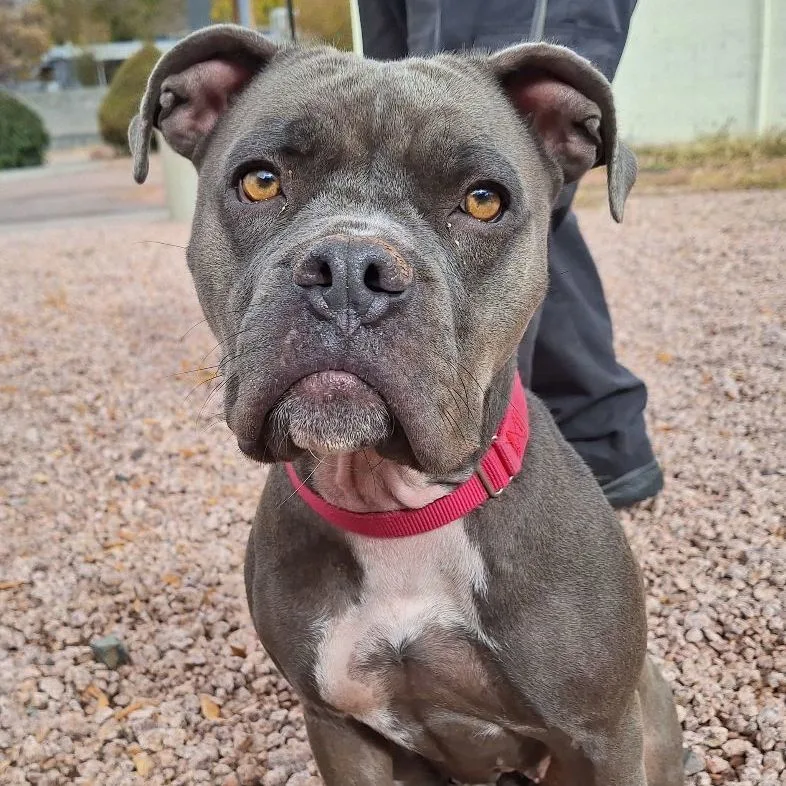 Truffles thumbnail 5