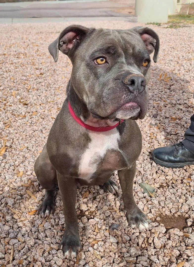 Truffles thumbnail 6