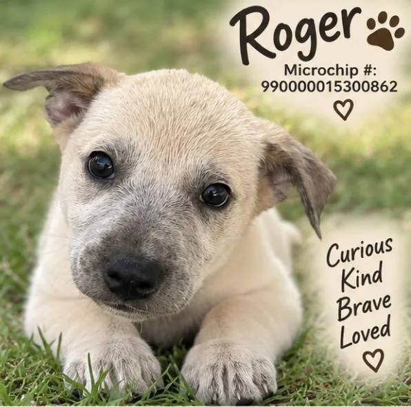 Roger