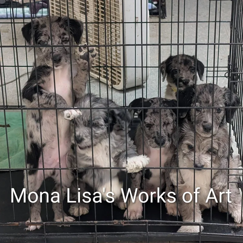 Da Vinci  Works thumbnail 4