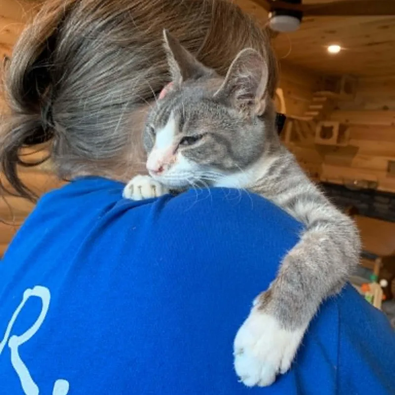 Tiara thumbnail 4