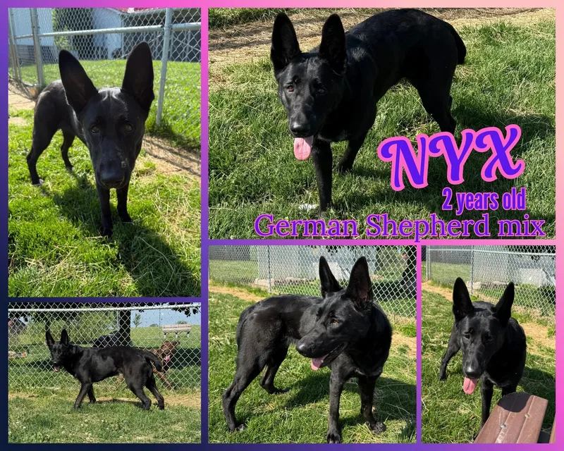 Nyx