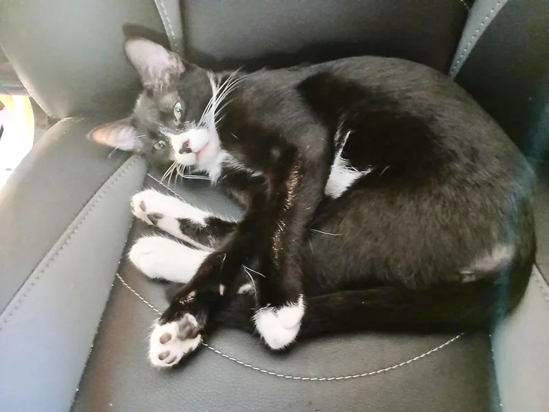 Espresso thumbnail 2