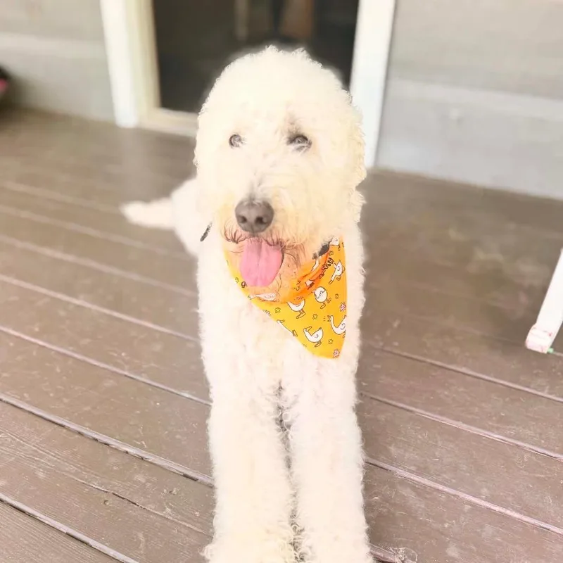 Charlie